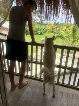 Privatunterkunft Uma Nandhi Ubud Tegallalang (Bali)
